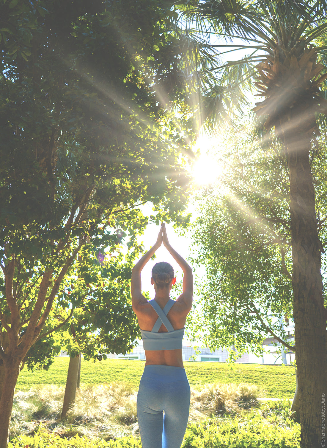 morning yoga, evening yoga